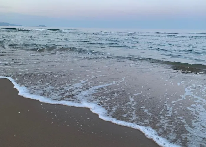 公寓 Excellent View Julia 阿利坎特